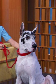 Foto de Bing