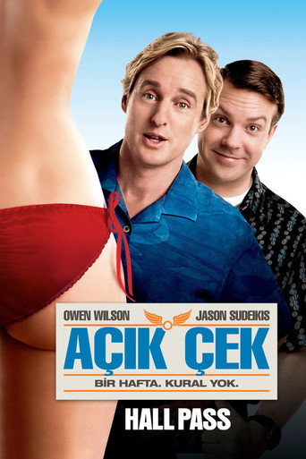Açık Çek afişi