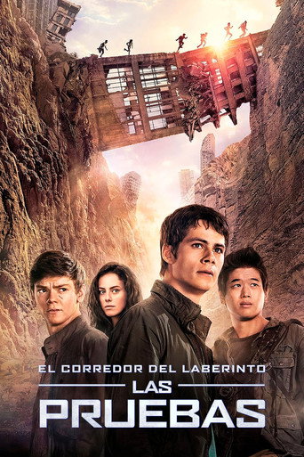 Póster de El corredor del laberinto II. Las pruebas