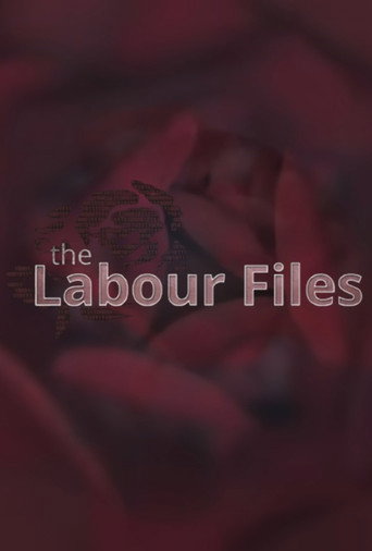 Pôster de The Labour Files