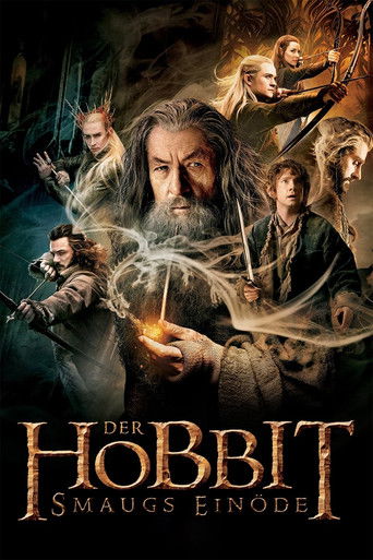 Poster zu Der Hobbit - Smaugs Einöde