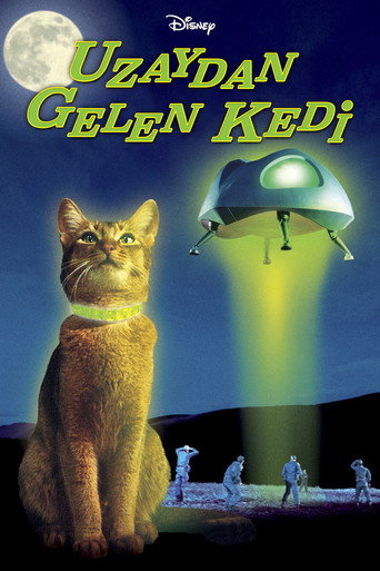 Uzaydan Gelen Kedi afişi