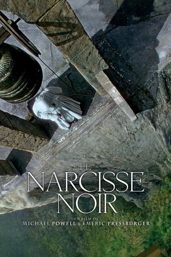 Affiche de Le Narcisse noir