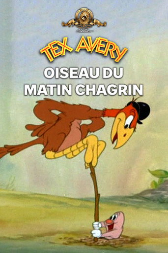 Affiche de Un oiseau de mauvaise augure