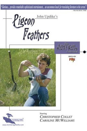 Pigeon Feathers poster