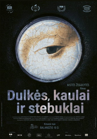 Locandina di Dulkės, kaulai ir stebuklai