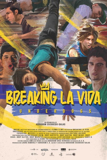 Breaking la vida poster