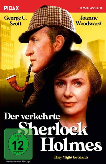 Poster zu Der verkehrte Sherlock Holmes