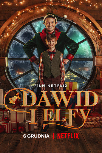 David ve Elfler afişi