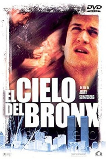 Póster de El cielo del Bronx
