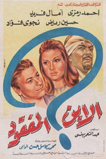 The Missing Son poster
