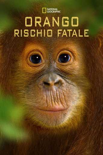 Locandina di Operation Orangutan