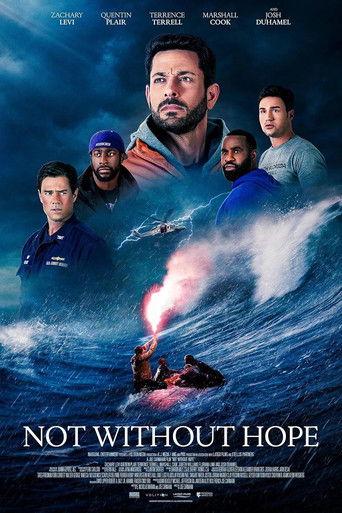 Poster zu Not Without Hope