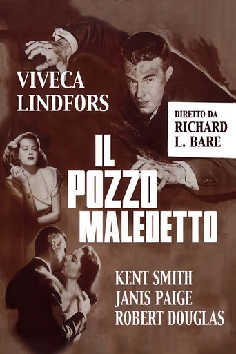 Locandina di Il pozzo maledetto