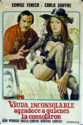 Póster de La viuda inconsolable agradece a los que la consolaron