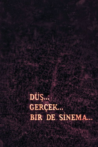Düş, Gerçek, Bir de Sinema afişi