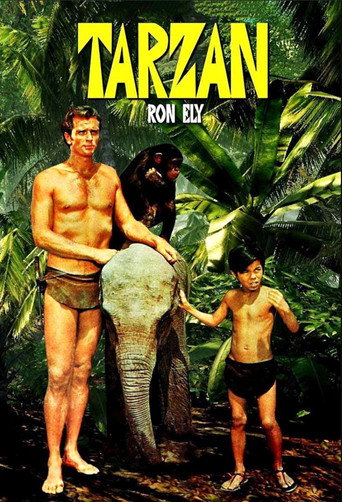 Affiche de Tarzan