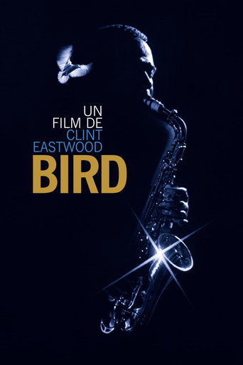 Affiche de Bird