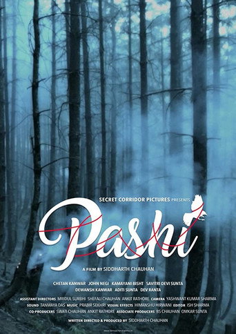 Locandina di Pashi