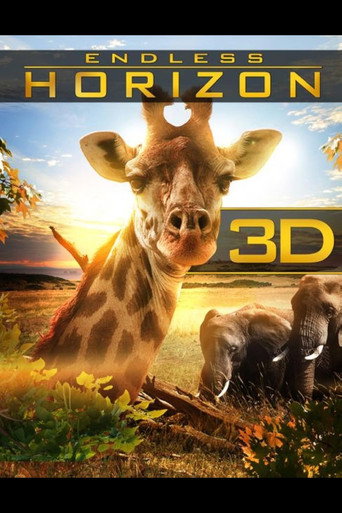 Endless Horizon poster
