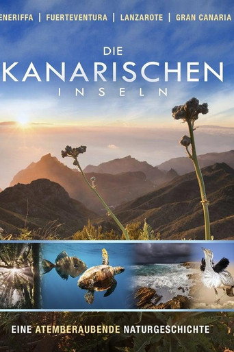 Wild Canarie poster