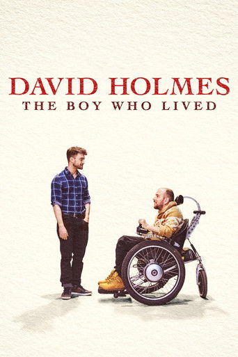David Holmes: The Boy Who Lived afişi