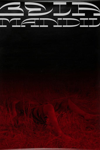 Bela Mandil poster