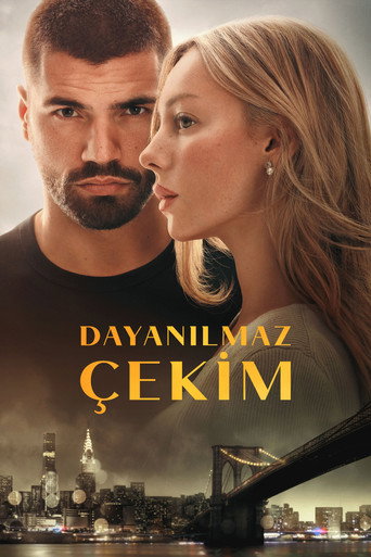 Dayanılmaz Çekim afişi