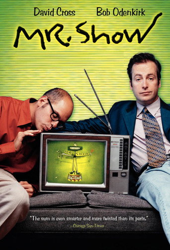 Mr. Show with Bob and David afişi