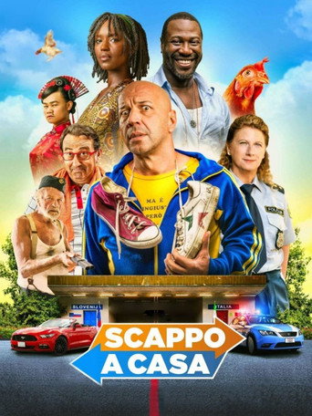 Locandina di Scappo a casa