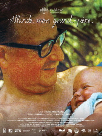 Affiche de Allende mon grand-père