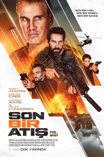 Son Bir Atış afişi