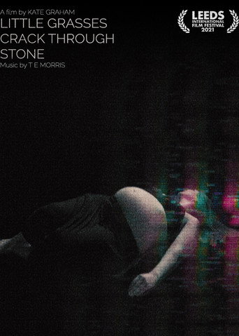 Little Grasses Crack Through Stone poster