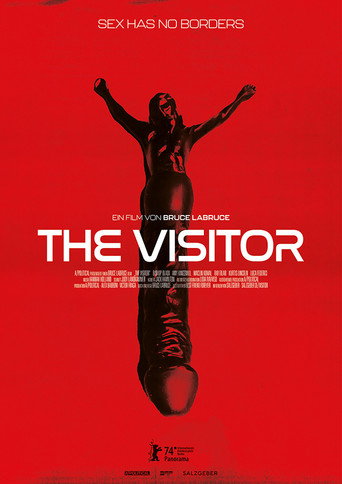 Poster zu The Visitor