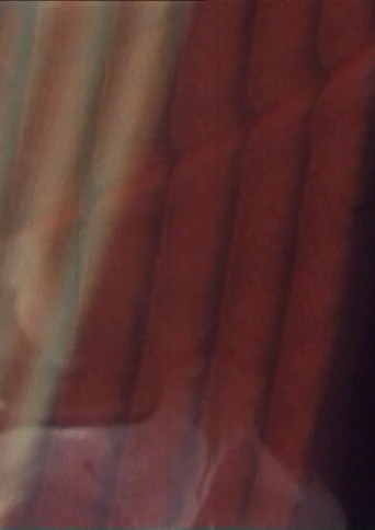 The Old Woman's Face, The Soup Tureen, Vreni Keller Speaks and Madame's Fanny poster