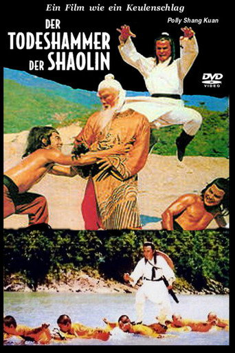 Poster zu Der Todeshammer des Shaolin