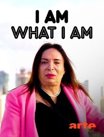 The First Lady afişi