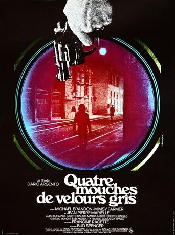 Affiche de Quatre mouches de velours gris