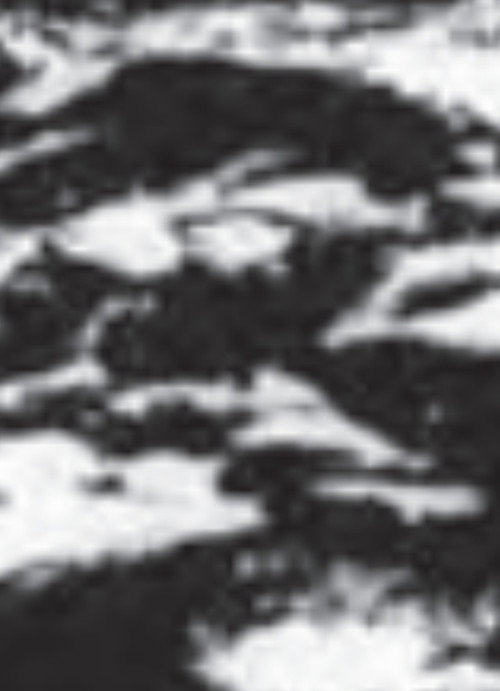 Burren poster