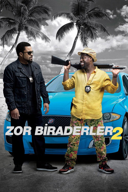 Zor Biraderler 2 afişi