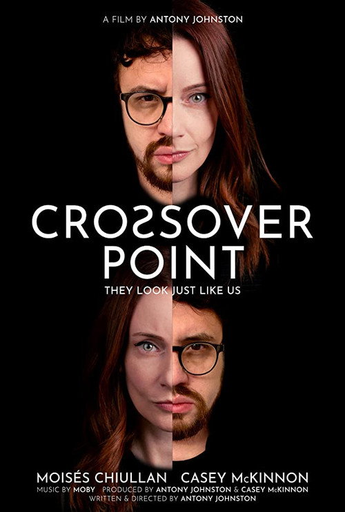 Crossover Point poster