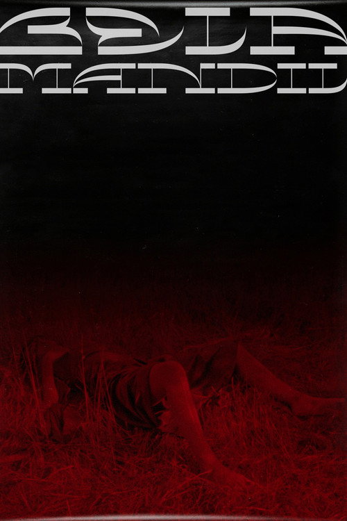 Bela Mandil poster