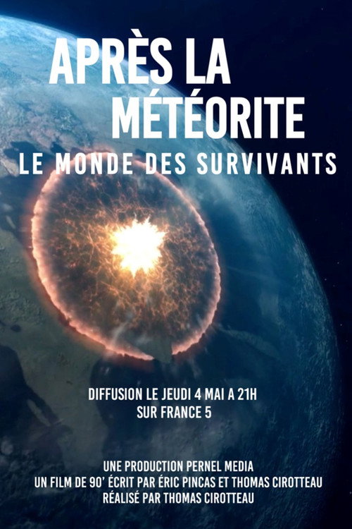 Après la météorite, le monde des survivants poster